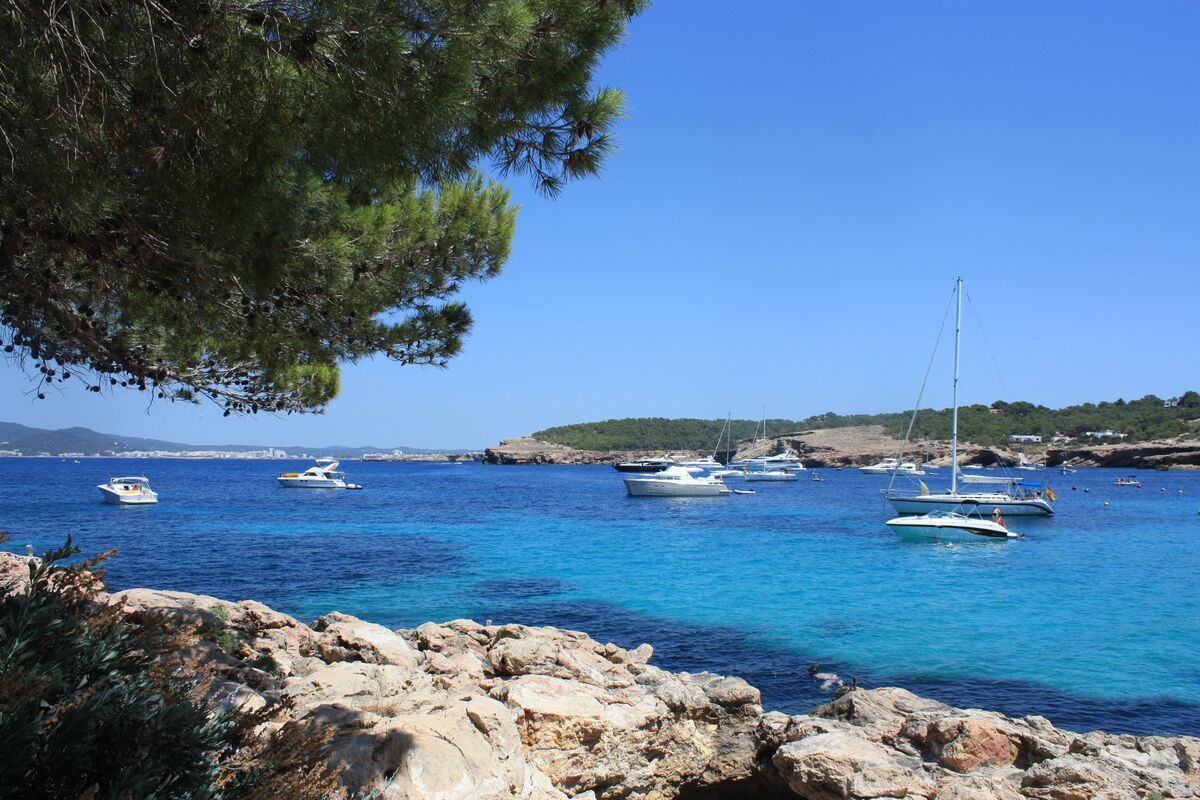 A sunny sandy beach day at Cala Bassa with turquoise water and pine trees behind the sand